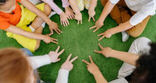 group of children playing on green grass